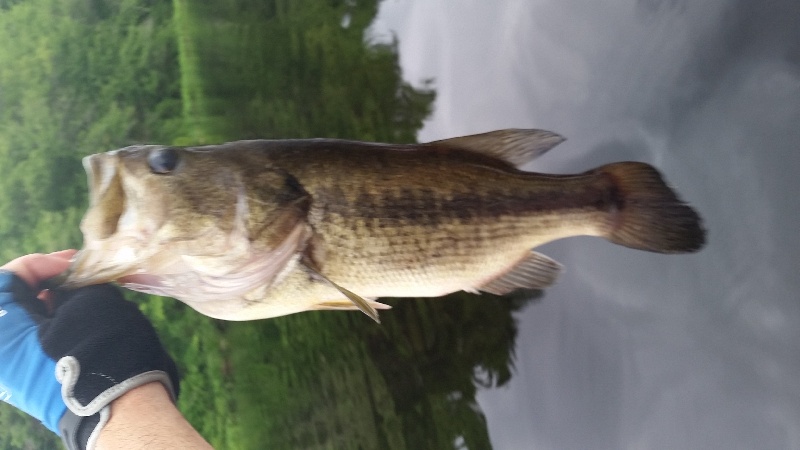 stump pond east bridgewater