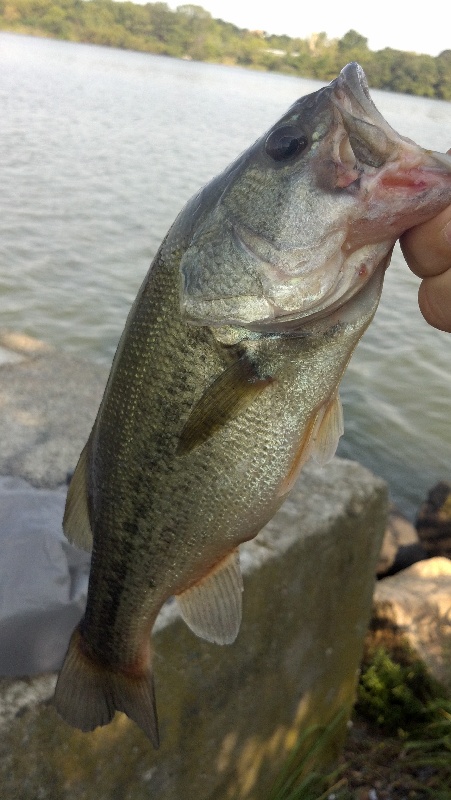 Fall River fishing photo 4