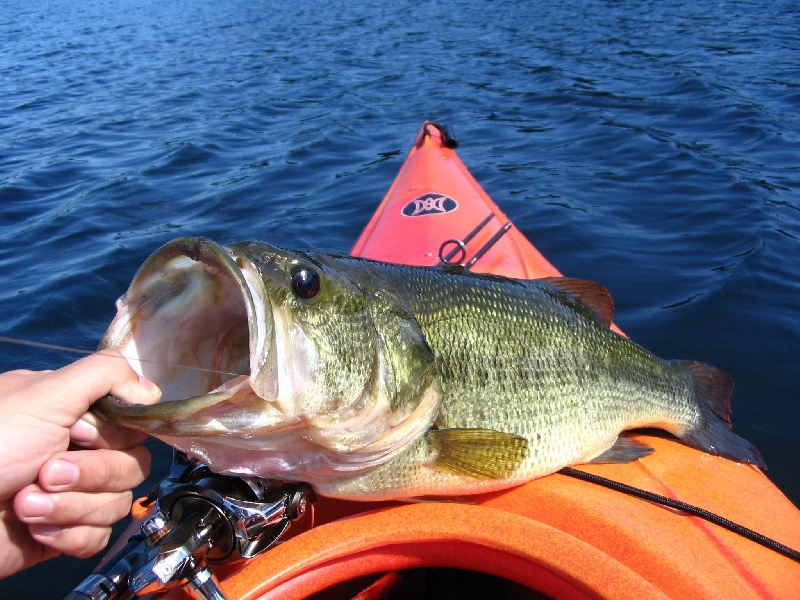 Truro fishing photo 3