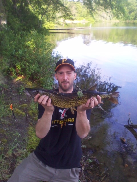 6lb 6oz Pickeral on Pike Shiner