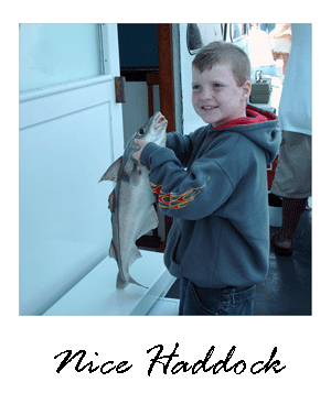 Haddock