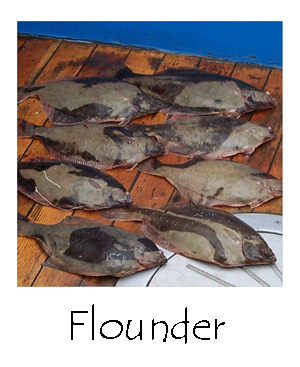 Flounder near Rowley