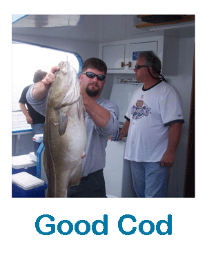 Good Atlantic Cod near Rowley