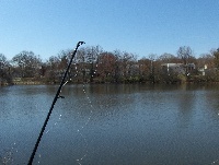 Bare Meadow Pond