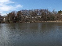 Bare Meadow Pond 3