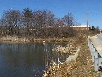 Bare Meadow Pond 4