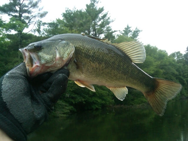 Stoughton fishing photo 1