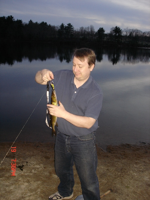 Prat pond Pickerel near Upton