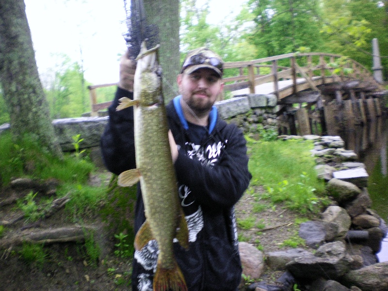 PICKEREL HEAVEN  near Concord