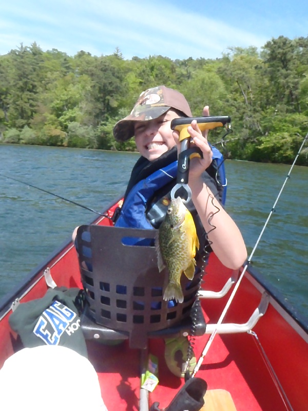 My Son and his sunfish