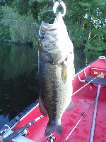 Reeds Pond, Rockland, MA