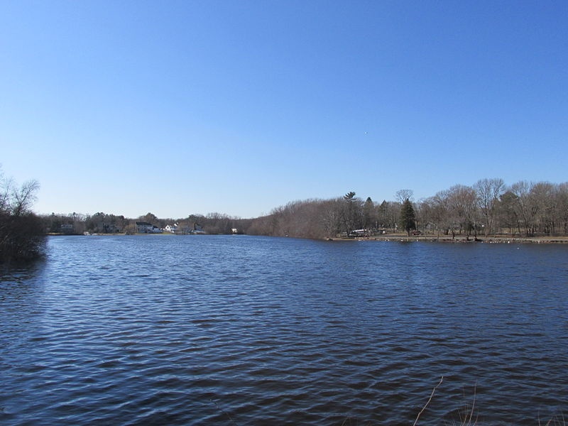 Reeds Pond near Rockland