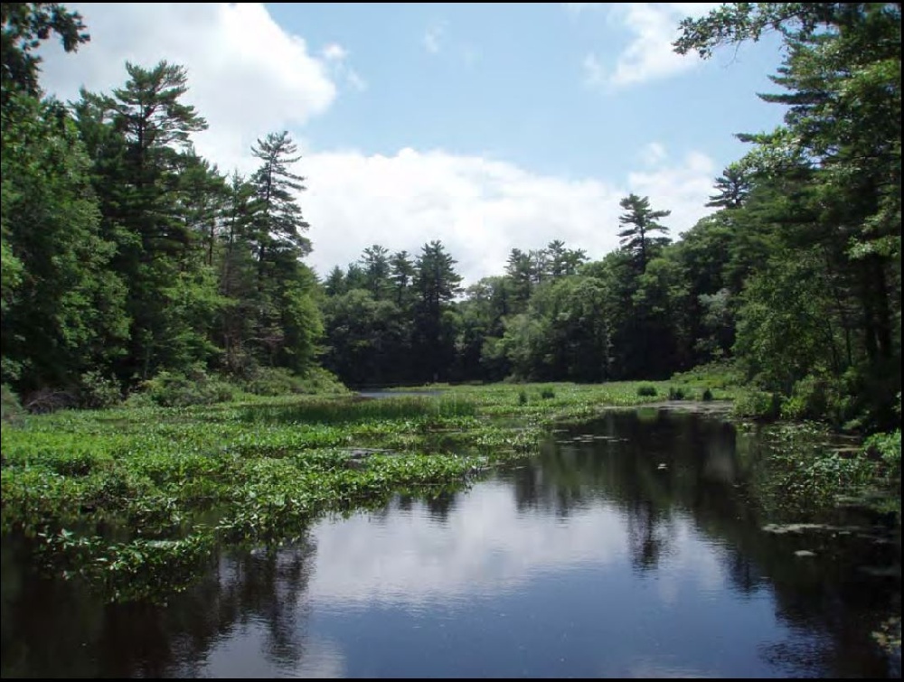 Gordon Pond