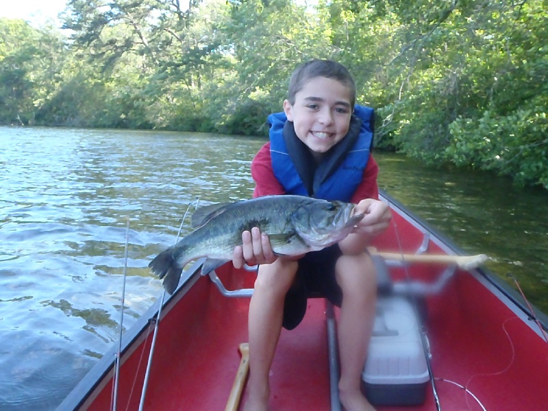 My son's big catch!  2.75 lb largemouth.