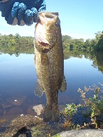 Jacobs Pond 9/20/13 Fishing Report