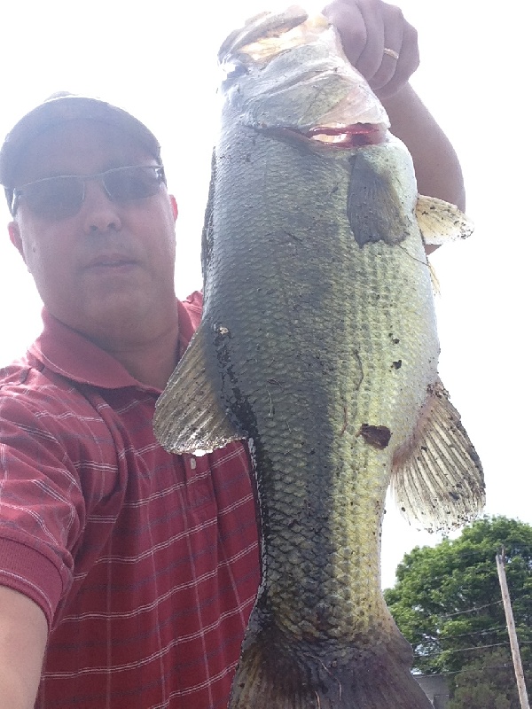 Largemouth near Weymouth