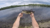 Tack Factory Pond