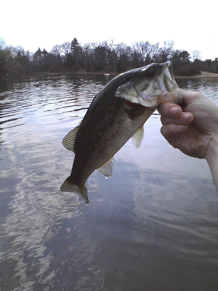 Montgomery fishing photo 2