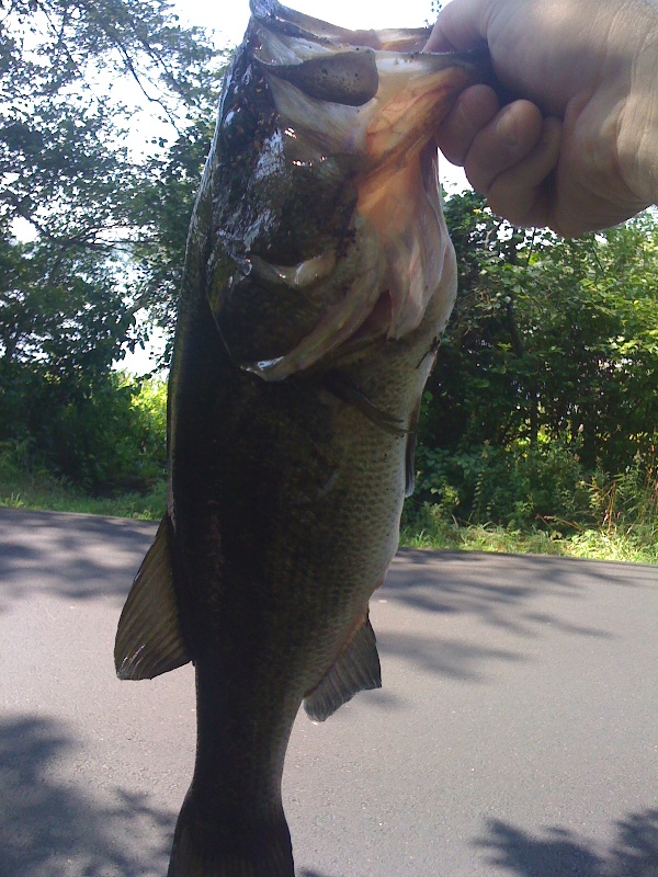 7-22-11 near Mansfield