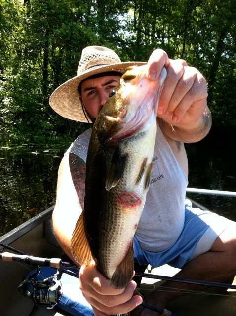 the ick fish