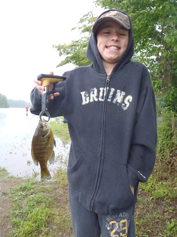 Sun Fish near Rockland