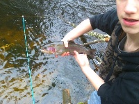 Groton Trout New years eve Fishing Report