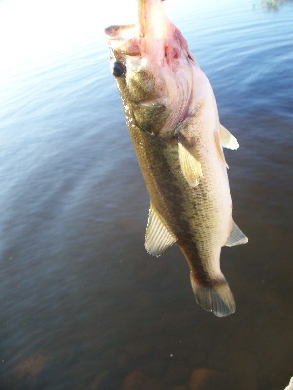 Halifax fishing photo 4