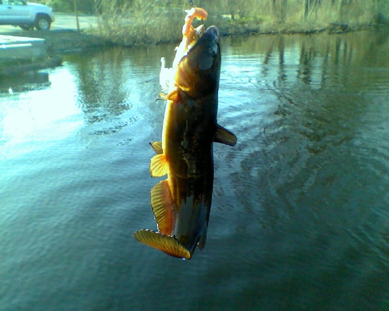 Charles River