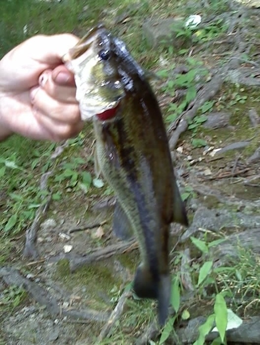 Sudbury River 8-10