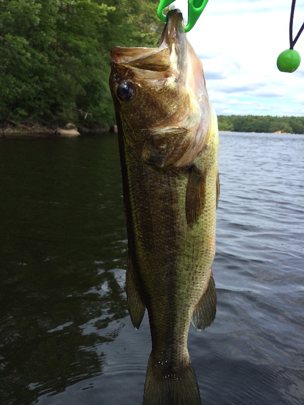 First fish from a kayak