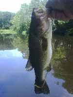 Rain delay at the Charles Fishing Report