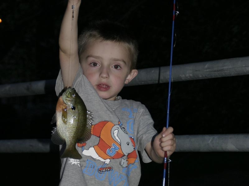 gotta love sunfish, kids do! near Wilmington