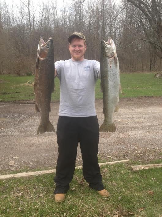 Two steelheads near Egremont