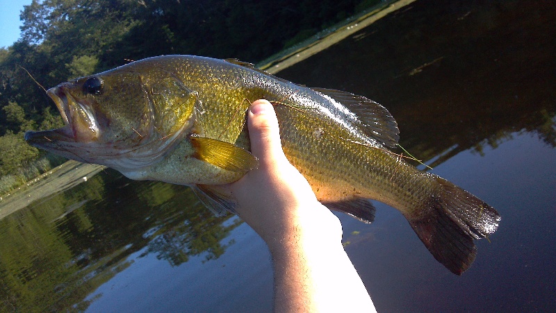 Medfield fishing photo 4