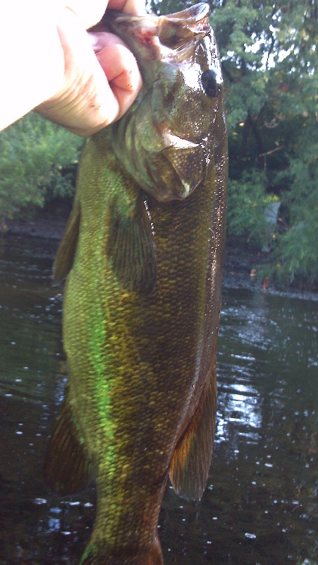 Waltham fishing photo 3