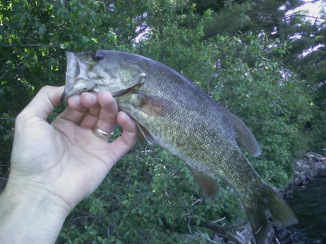 Spot Pond Summer Smallie