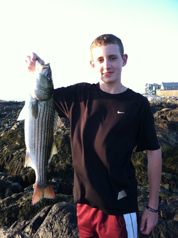 Striper Fishing near Cohasset