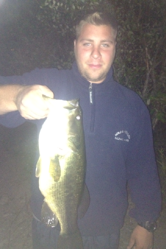Large Mouth Bass