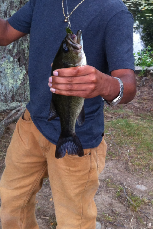 caught a 10" bass in a little pond near Brockton