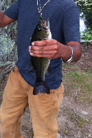 caught a bass at D.W Fields Park Fishing Report