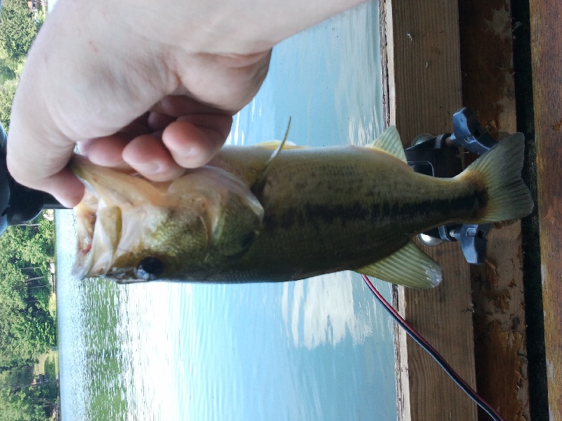 Babcock Lake 7/2/11 LMB