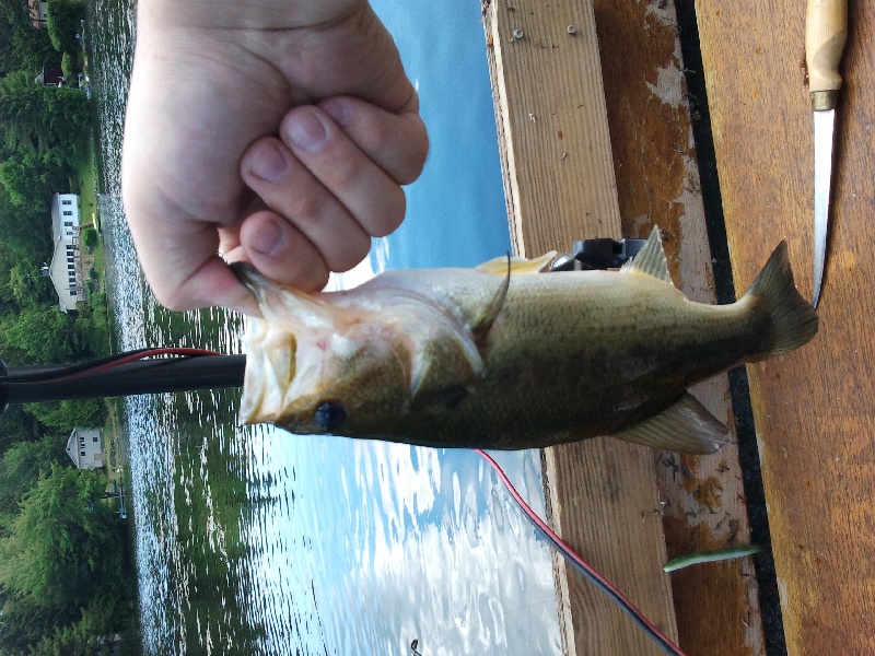 Babcock Lake 7/2/11 LMB near Williamstown