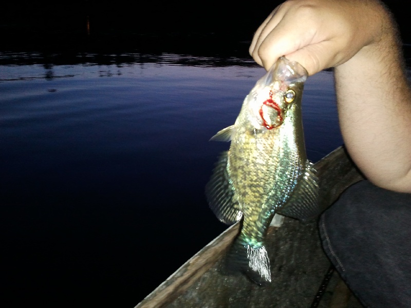 Crappie near Clarksburg