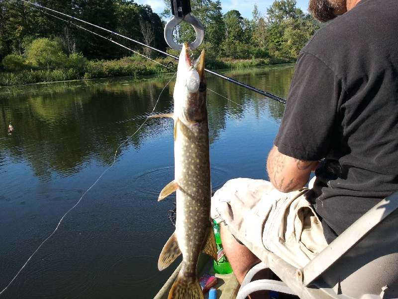 The Pike? near Pittsfield