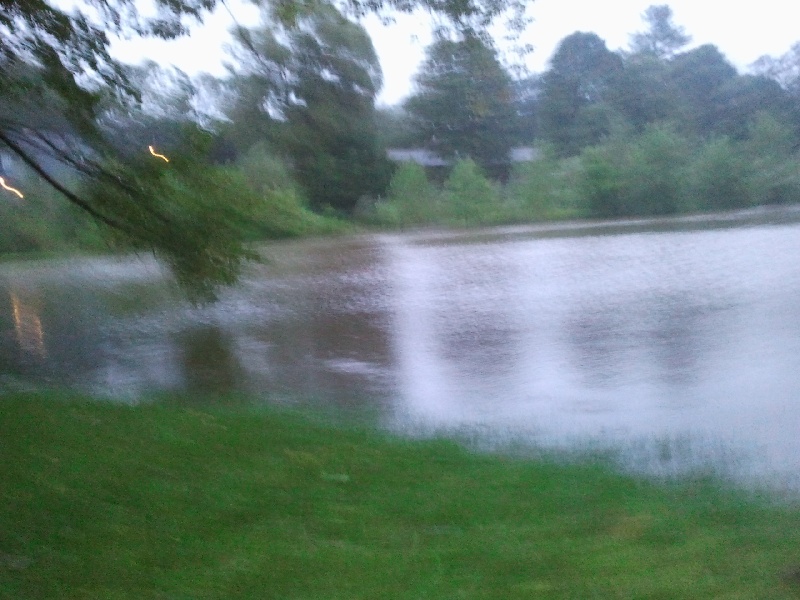 Neighbors backyard flood