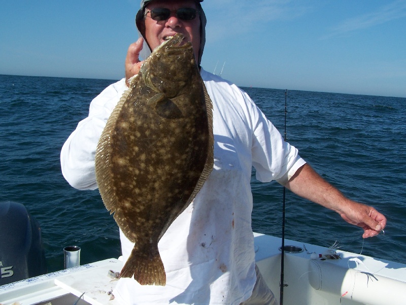 Fluke near West Tisbury