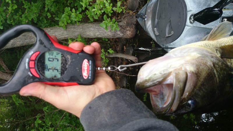 lunker