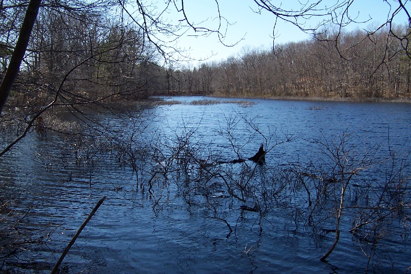 Borderlands near Mansfield