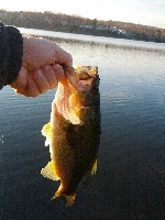 Limit-plus on Lower Mystic Lake