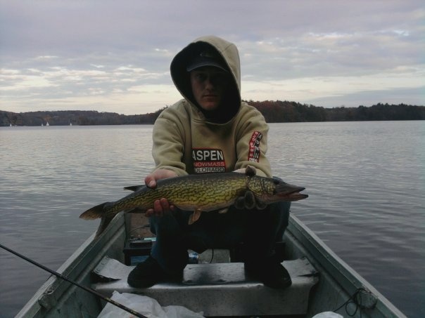 4lb pickerel